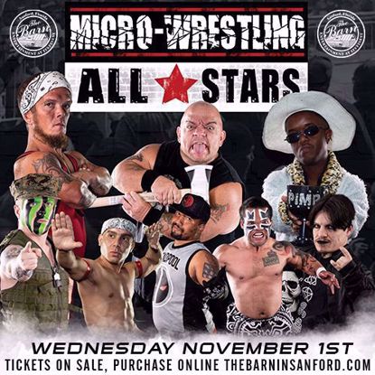 Micro Westling All Stars
